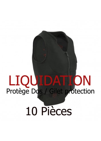 Lot de Protège dos / Gilet de protection