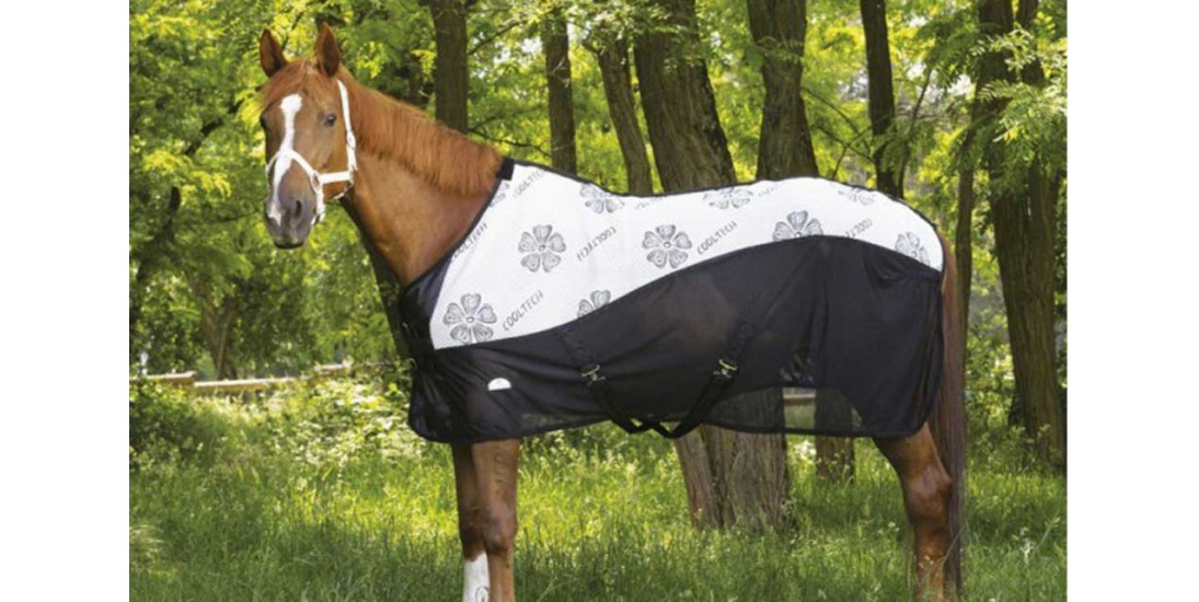 Guide des tailles des couvertures cheval